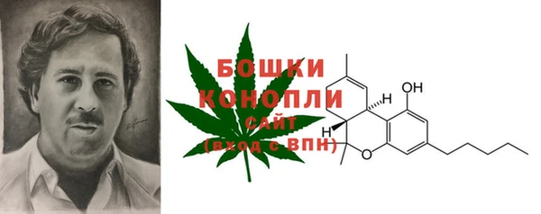 шишки Алексеевка