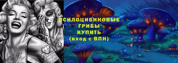 винт Алзамай