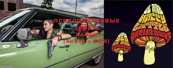 шишки Алексеевка