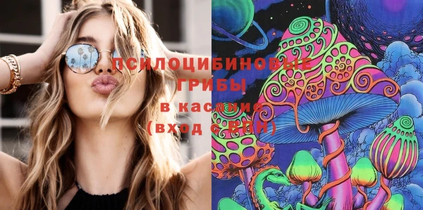 винт Алзамай
